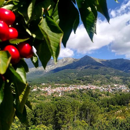 Albareilla By #Cherrygredos 埃尔阿雷纳尔 外观 照片