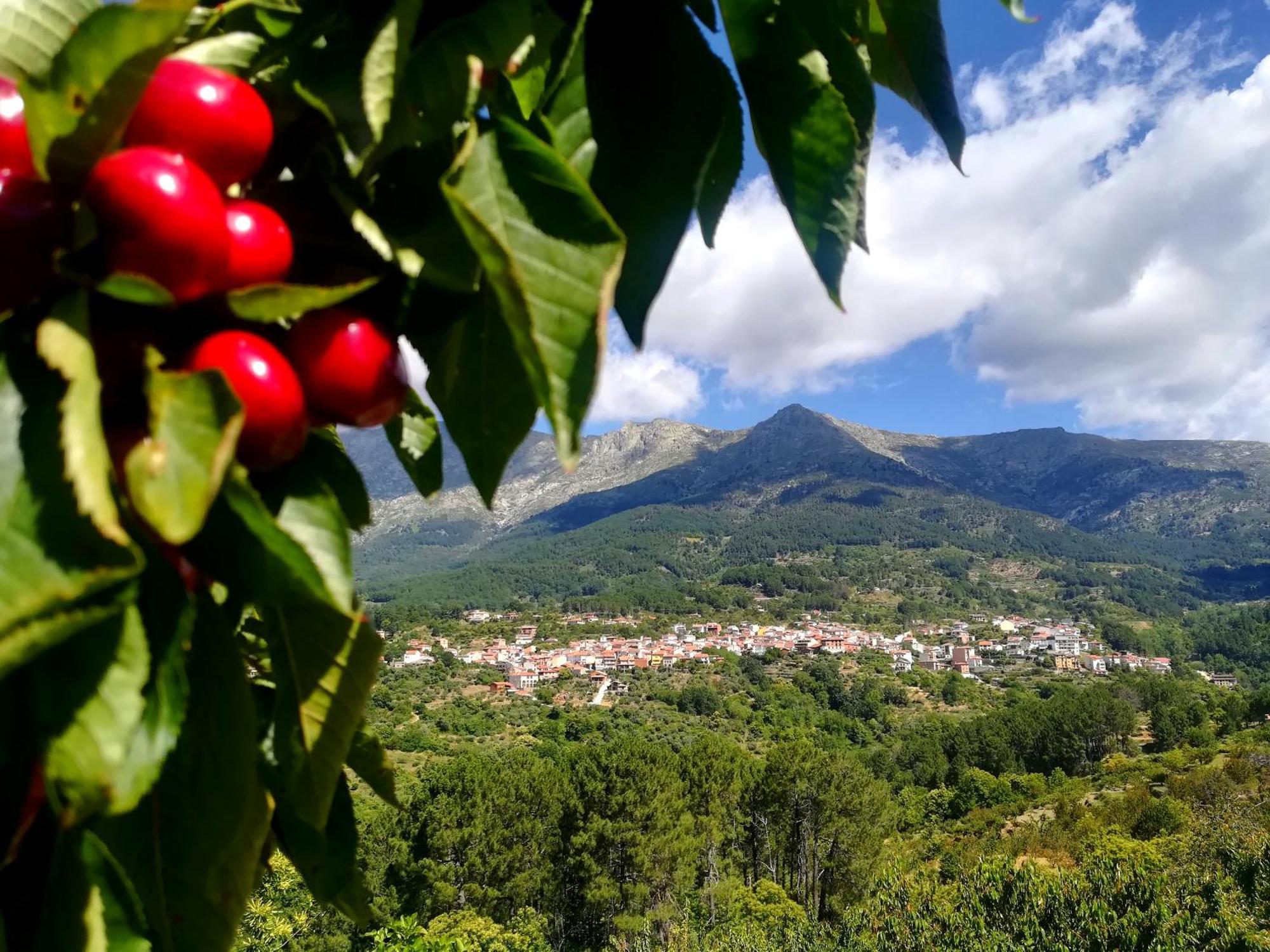 Albareilla By #Cherrygredos 埃尔阿雷纳尔 外观 照片