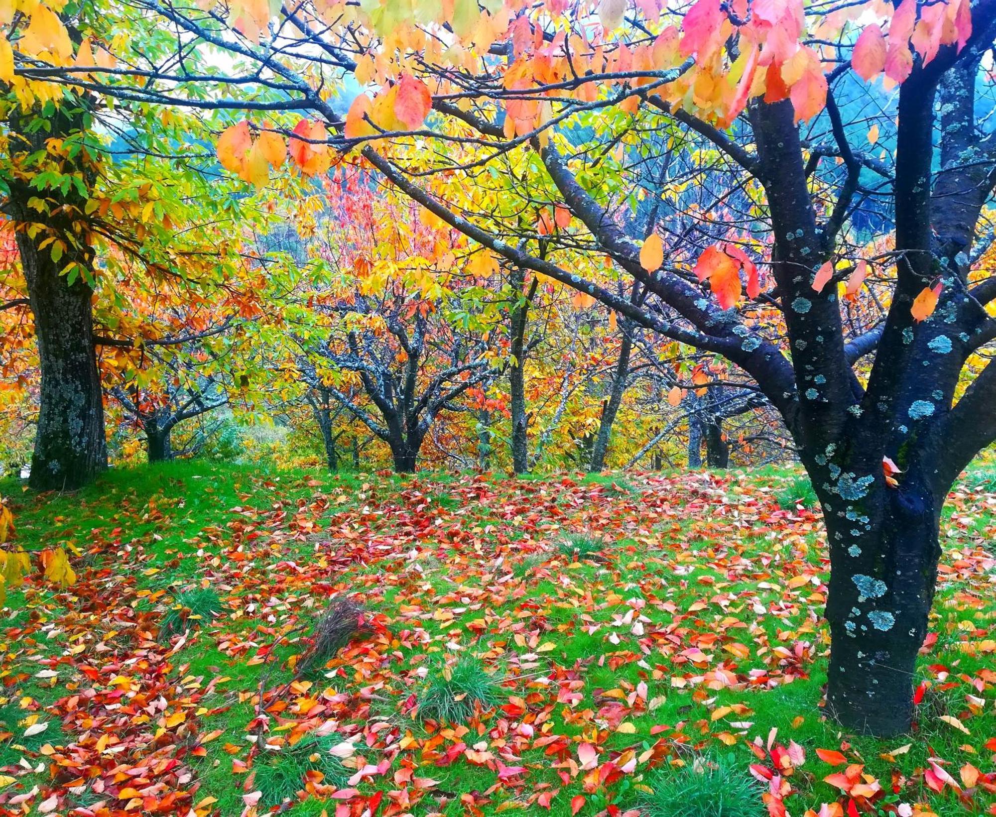 Albareilla By #Cherrygredos 埃尔阿雷纳尔 外观 照片